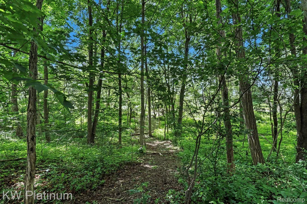 5918 Jeddo Road Grant Township, MI 48032