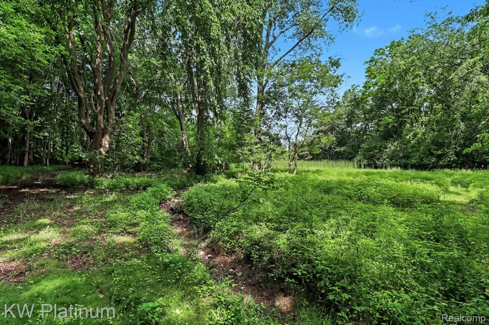 5918 Jeddo Road Grant Township, MI 48032