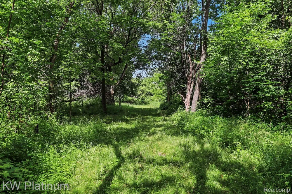 5918 Jeddo Road Grant Township, MI 48032