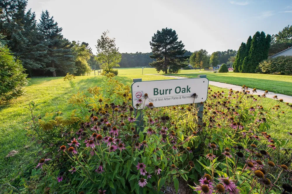 312 Burr Oak Drive Ann Arbor City, MI 48103