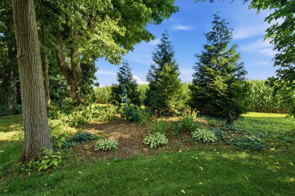 6143 Sunshine Avenue Prairie Ronde Township, MI 49087