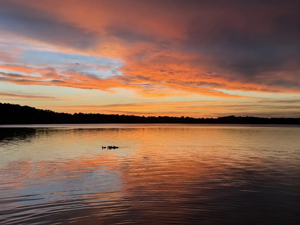 3235 Lake Andrew Road SW Alexandria, MN 56308