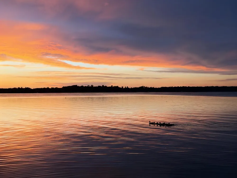 3235 Lake Andrew Road SW Alexandria, MN 56308