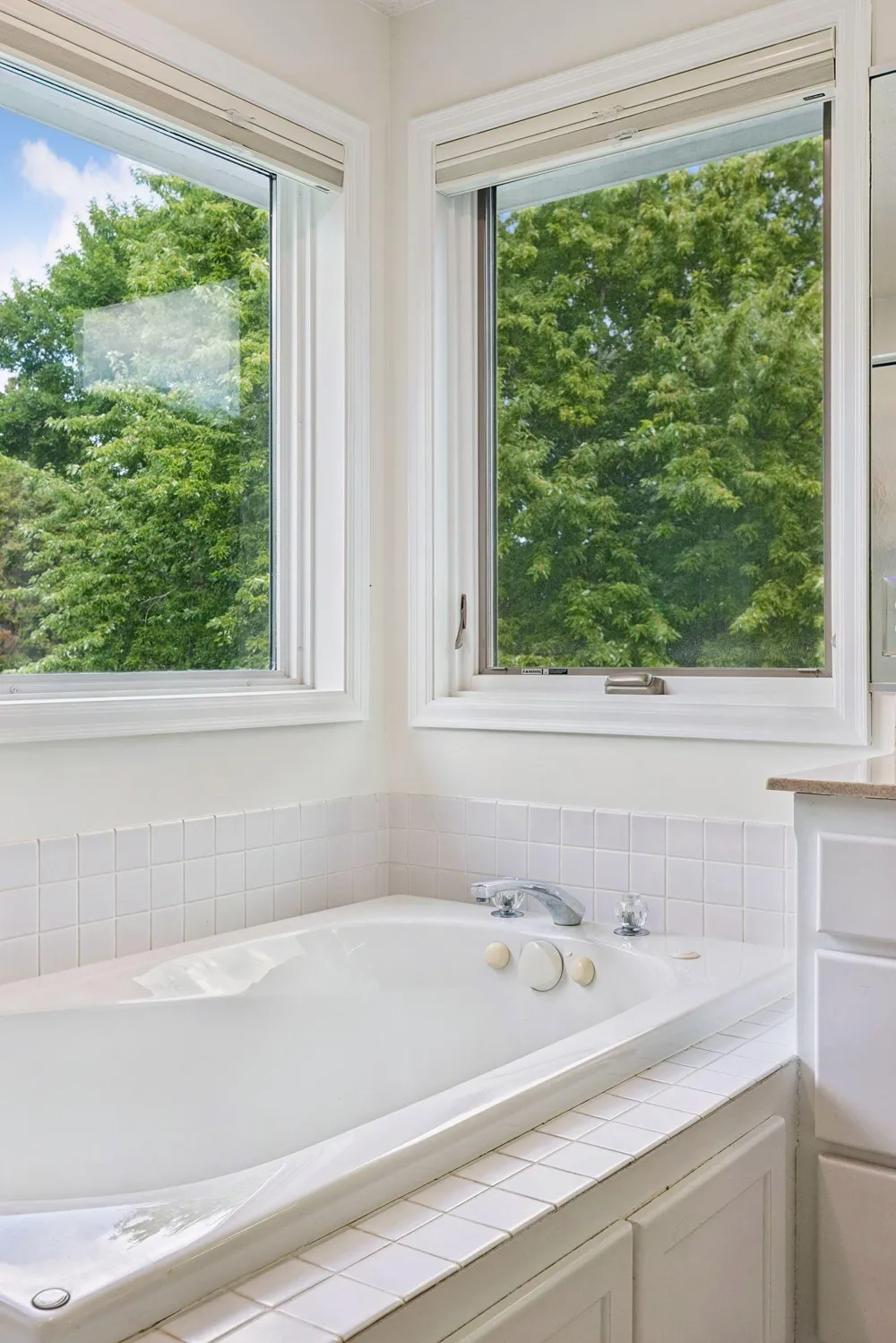 3 Scotch Pine Lane North Oaks, MN 55127