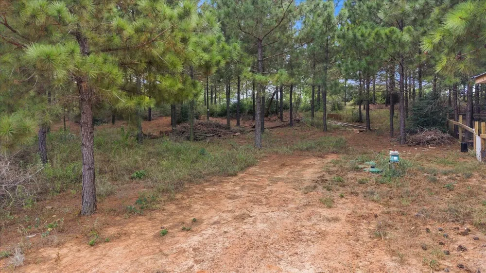 259 259 Pinehill Dr Drive Bastrop, TX 78602