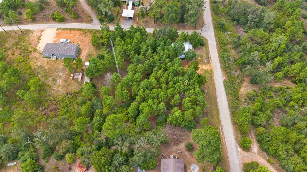 259 259 Pinehill Dr Drive Bastrop, TX 78602