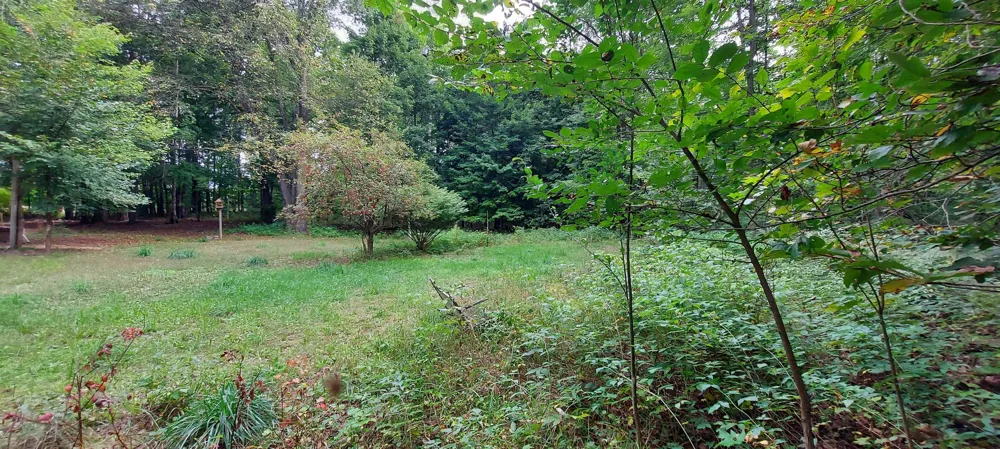 2247 Kladder Road Kearney Township, MI 49615