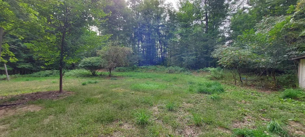 2247 Kladder Road Kearney Township, MI 49615