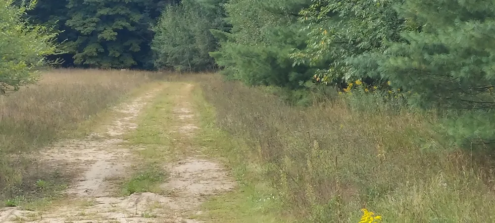 2247 Kladder Road Kearney Township, MI 49615