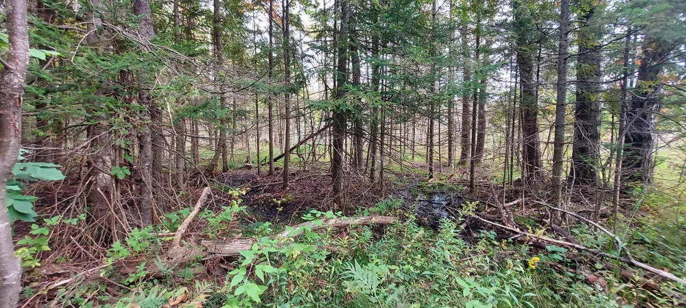 2247 Kladder Road Kearney Township, MI 49615