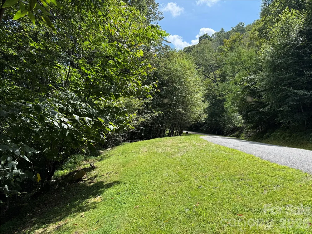 98 Goldenleaf Road Mars Hill, NC 28754
