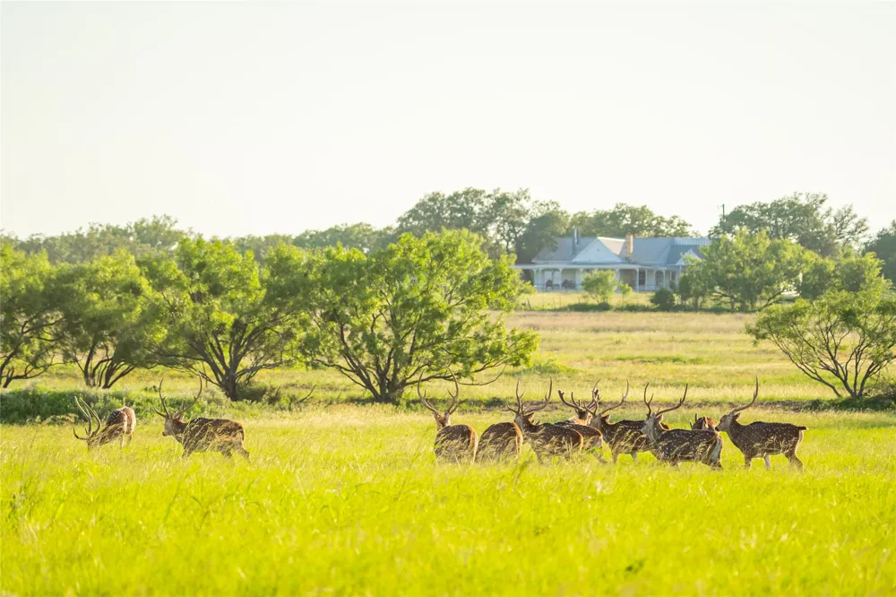County Road 476 Road Brady, TX 76872