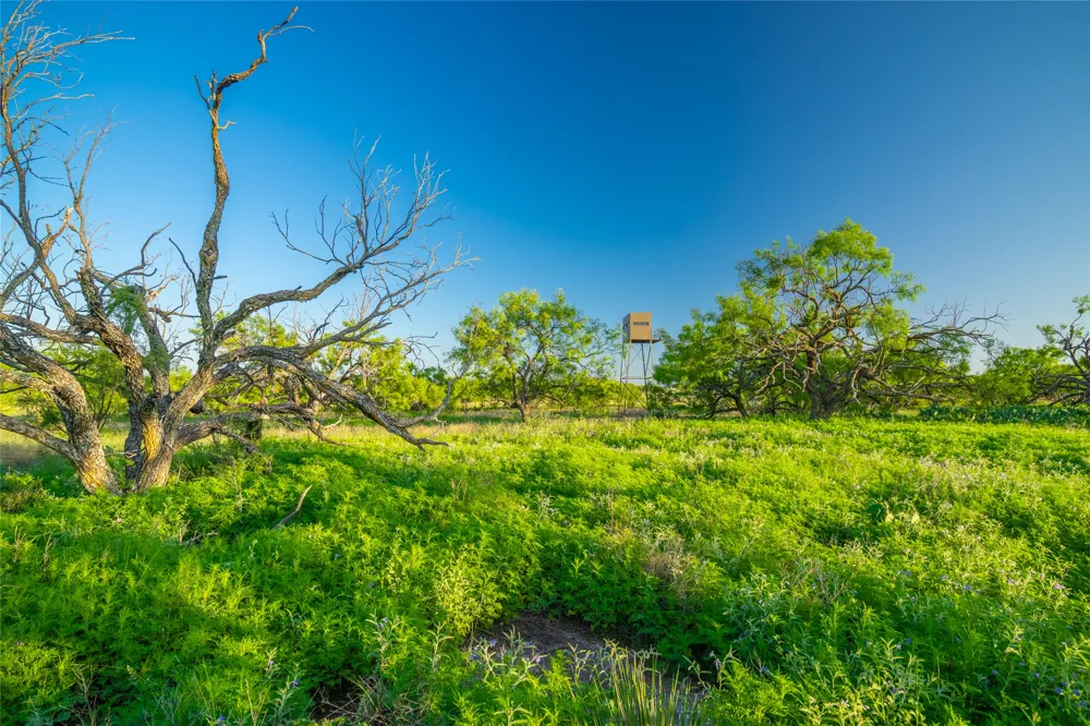 County Road 476 Road Brady, TX 76872