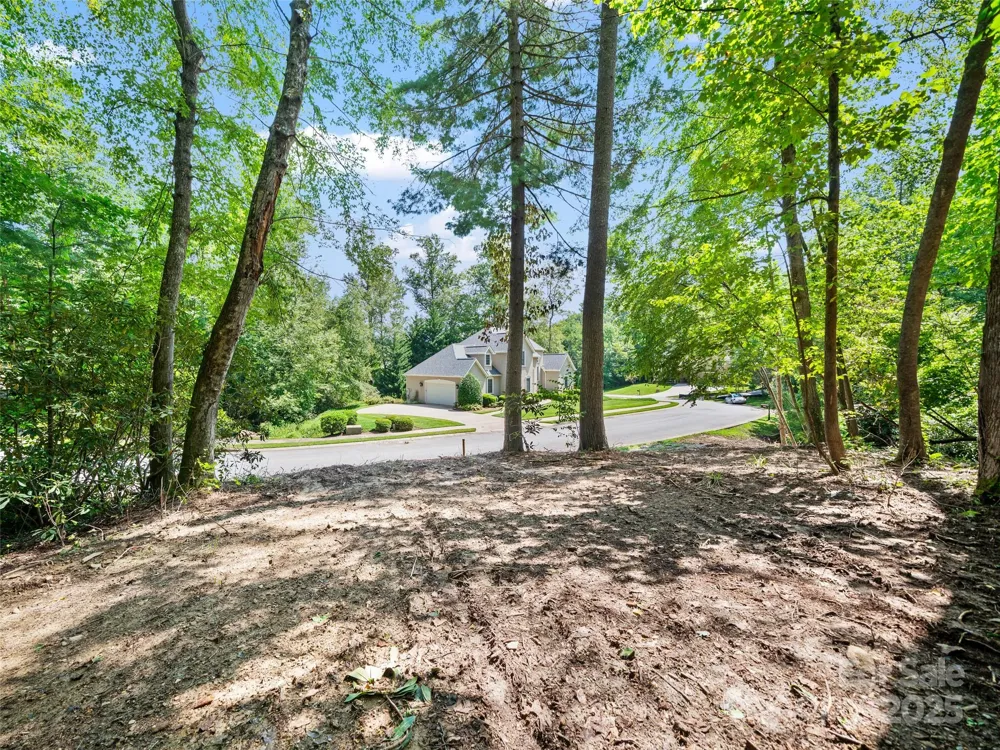 99999 Mistletoe Trail #43 & 44 Hendersonville, NC 28791