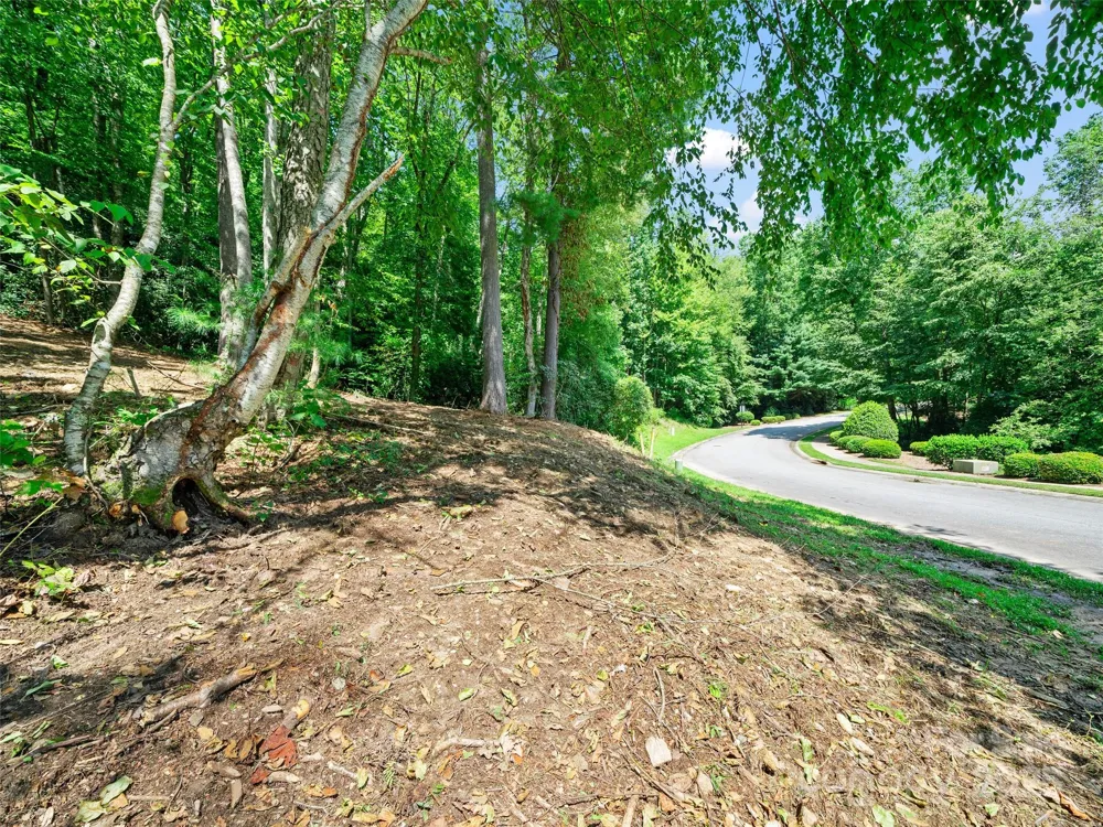 99999 Mistletoe Trail #43 & 44 Hendersonville, NC 28791