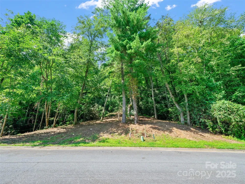 99999 Mistletoe Trail #43 & 44 Hendersonville, NC 28791