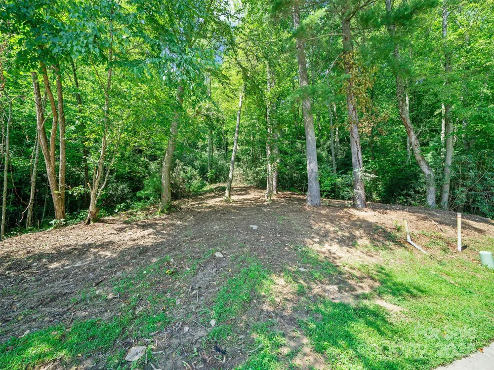 99999 Mistletoe Trail #43 & 44 Hendersonville, NC 28791