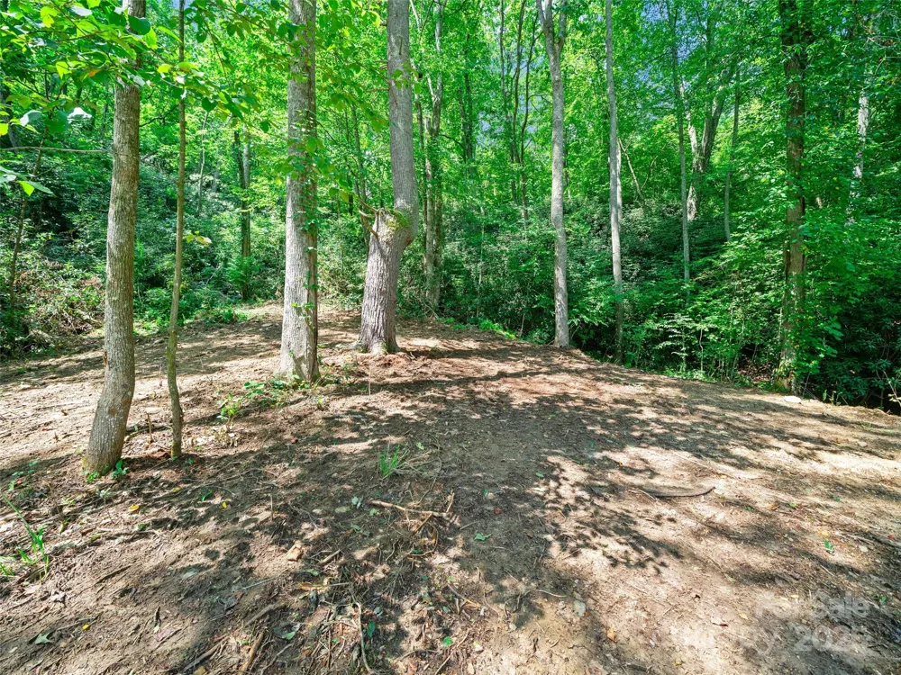 99999 Mistletoe Trail #43 & 44 Hendersonville, NC 28791