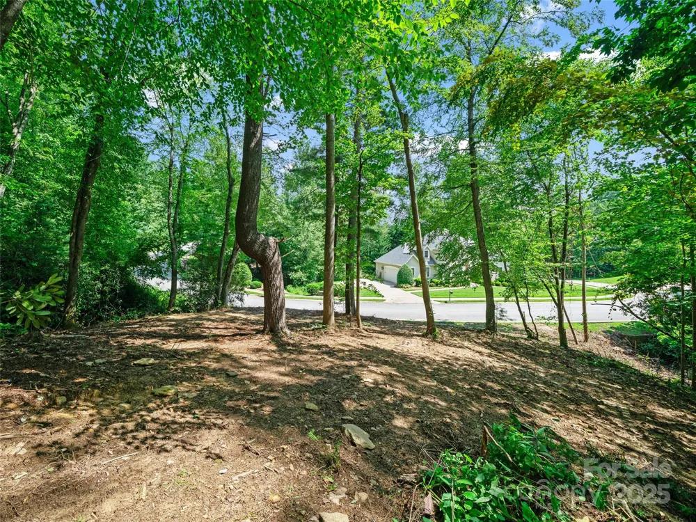 99999 Mistletoe Trail #43 & 44 Hendersonville, NC 28791