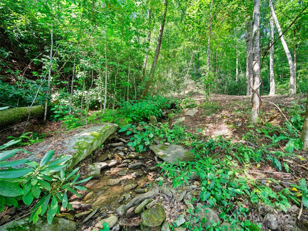 99999 Mistletoe Trail #43 & 44 Hendersonville, NC 28791