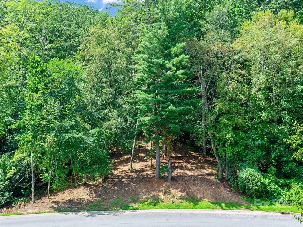 99999 Mistletoe Trail #43 & 44 Hendersonville, NC 28791
