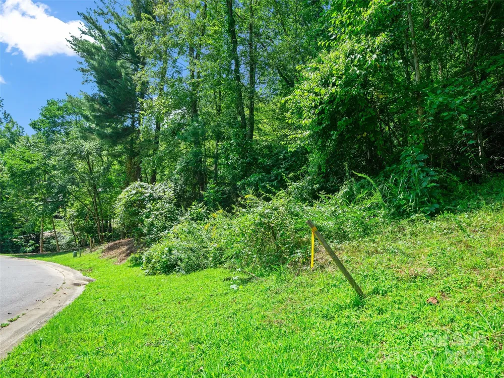 99999 Mistletoe Trail #43 & 44 Hendersonville, NC 28791