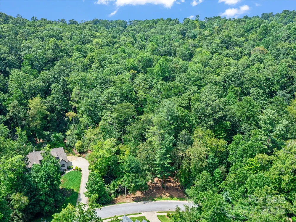 99999 Mistletoe Trail #43 & 44 Hendersonville, NC 28791