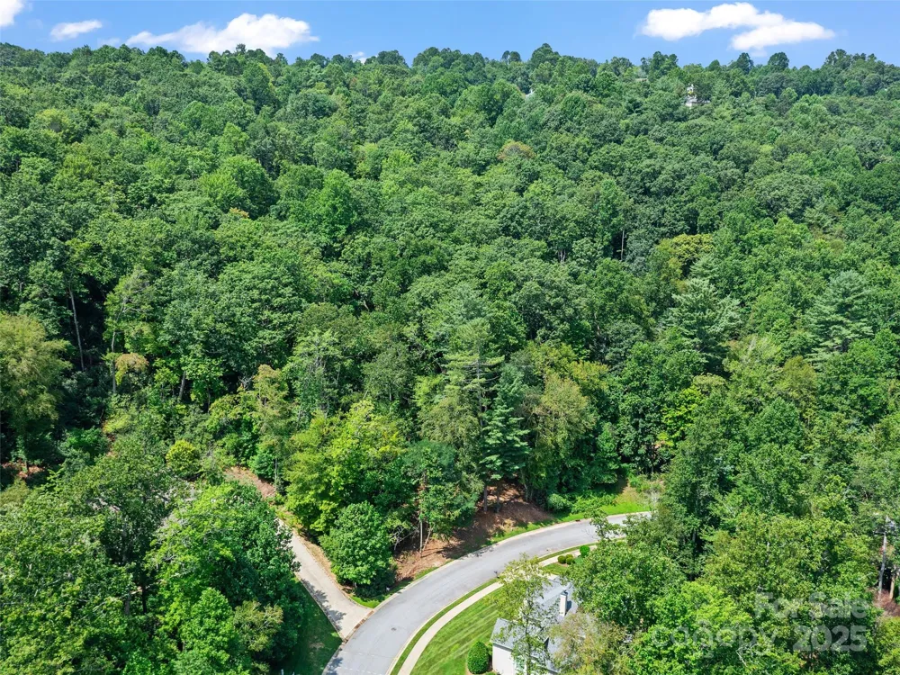 99999 Mistletoe Trail #43 & 44 Hendersonville, NC 28791