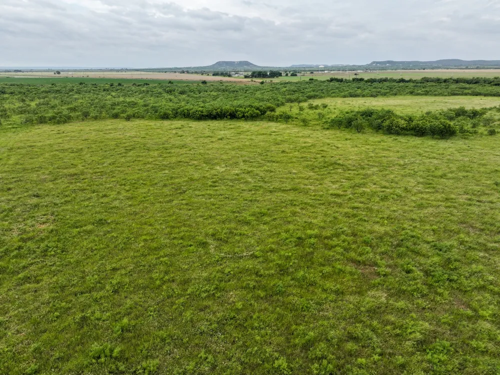 189 Porcupine Trail Tuscola, TX 79562