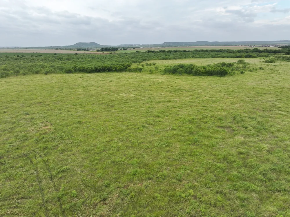 189 Porcupine Trail Tuscola, TX 79562