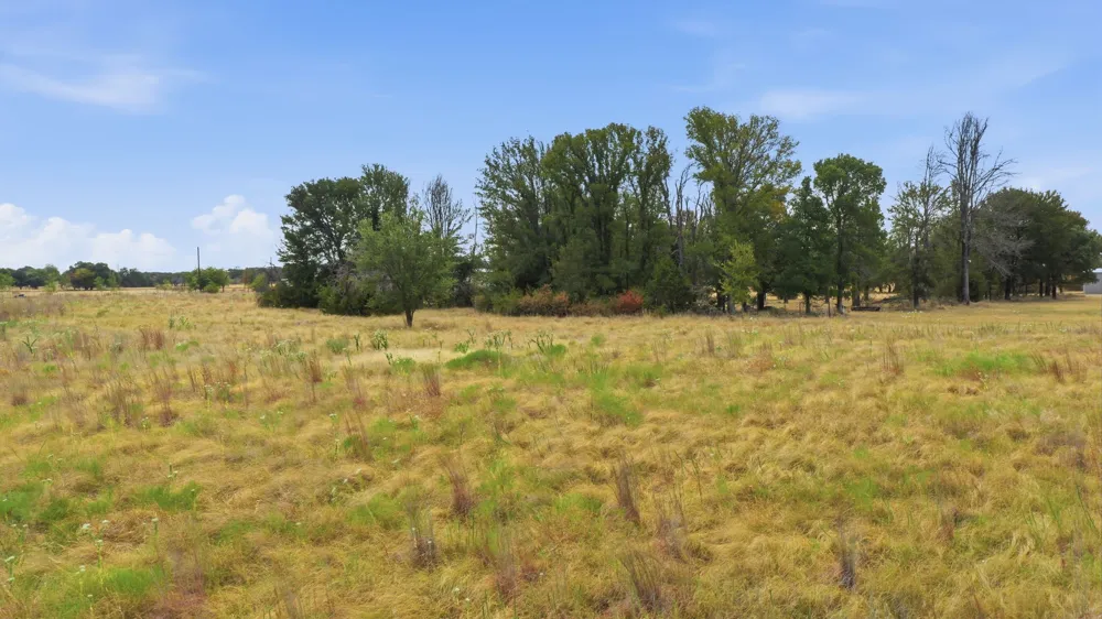171 Jupiter Trail Weatherford, TX 76088
