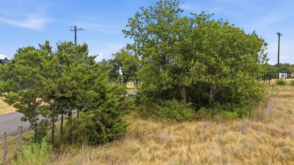171 Jupiter Trail Weatherford, TX 76088