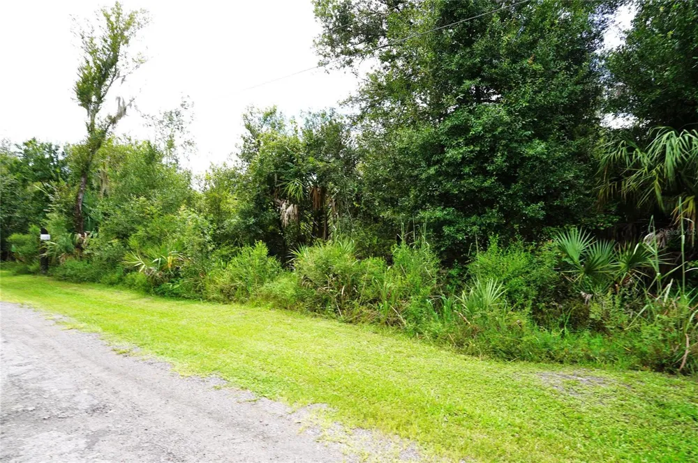 2047 SW NASSAU AVENUE Arcadia, FL 34266