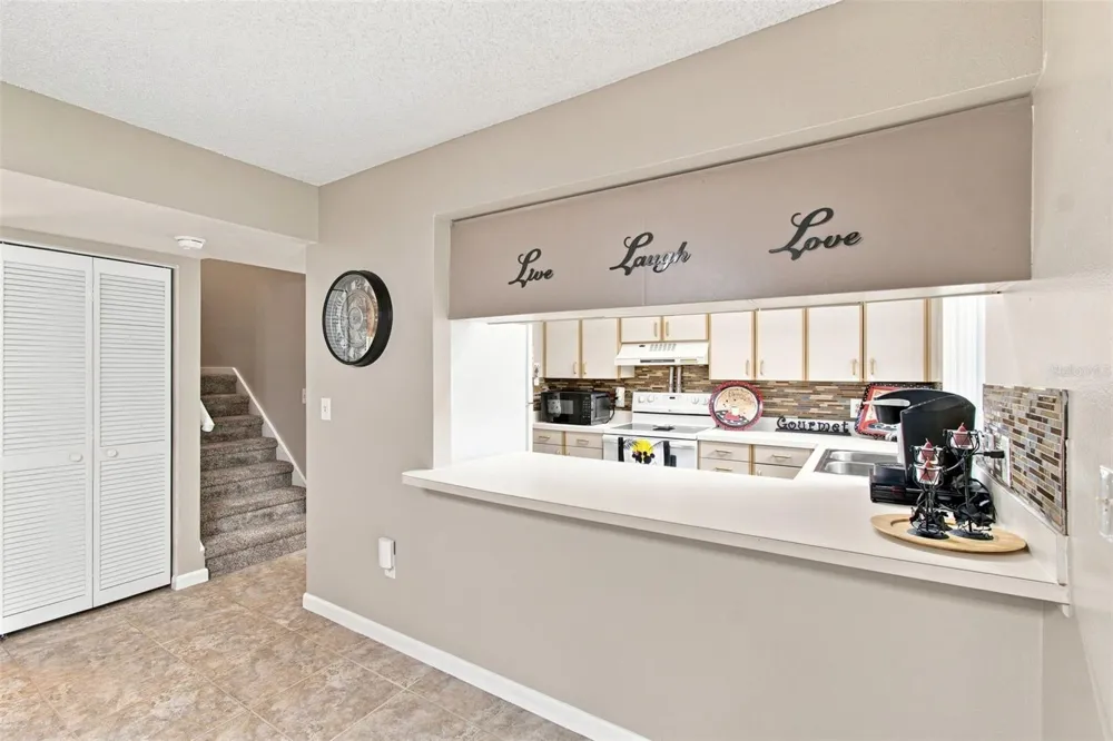 1356 BIG PINE DRIVE #1356 Valrico, FL 33596