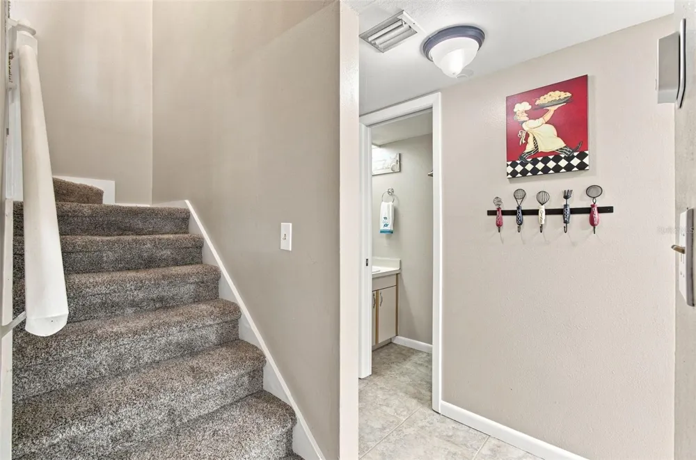 1356 BIG PINE DRIVE #1356 Valrico, FL 33596
