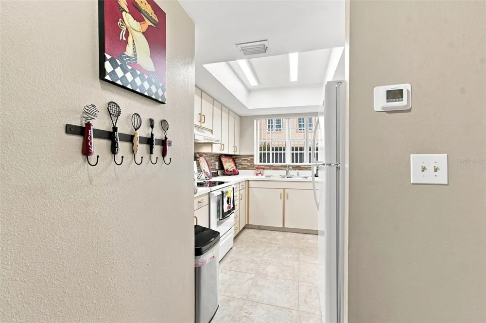1356 BIG PINE DRIVE #1356 Valrico, FL 33596