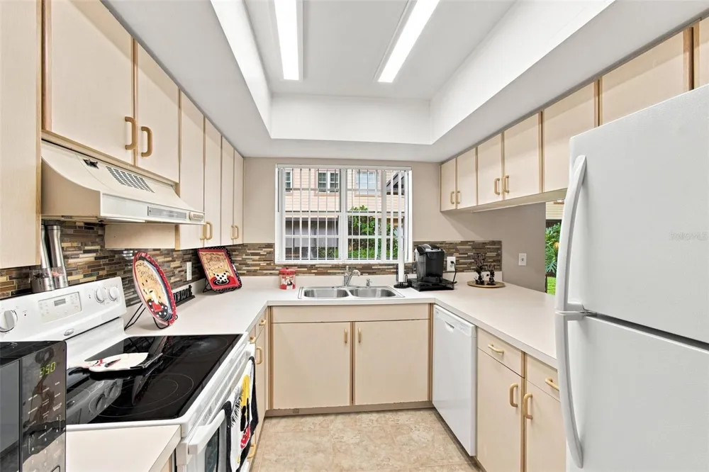 1356 BIG PINE DRIVE #1356 Valrico, FL 33596