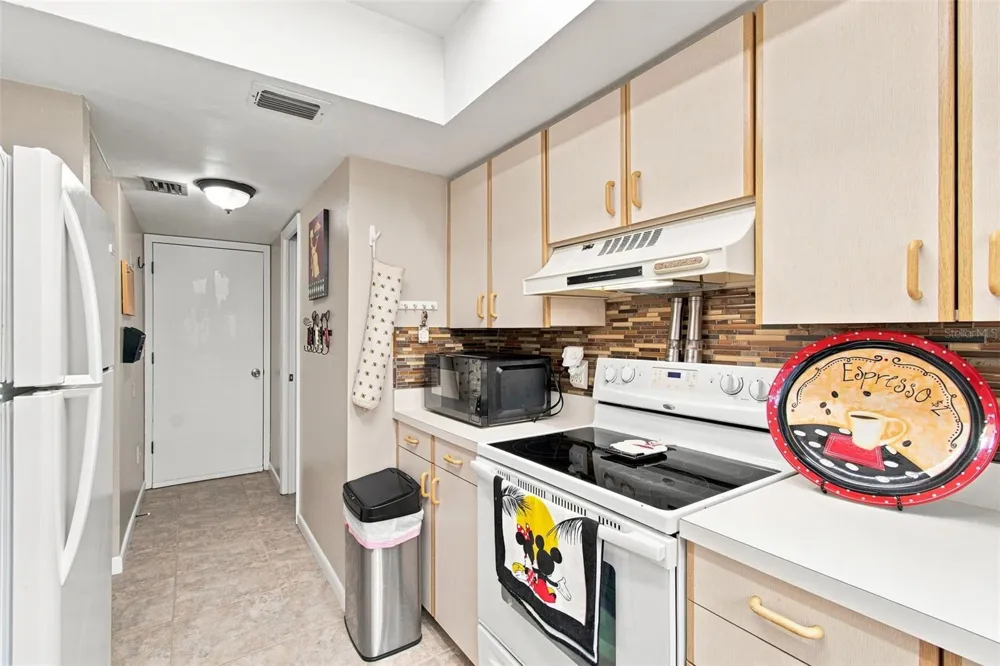 1356 BIG PINE DRIVE #1356 Valrico, FL 33596