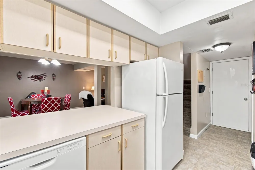 1356 BIG PINE DRIVE #1356 Valrico, FL 33596