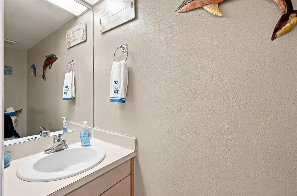 1356 BIG PINE DRIVE #1356 Valrico, FL 33596