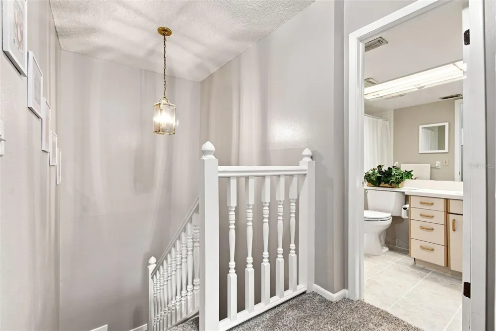 1356 BIG PINE DRIVE #1356 Valrico, FL 33596
