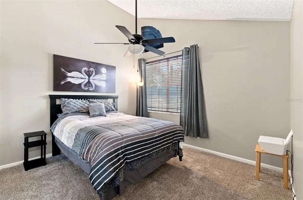 1356 BIG PINE DRIVE #1356 Valrico, FL 33596