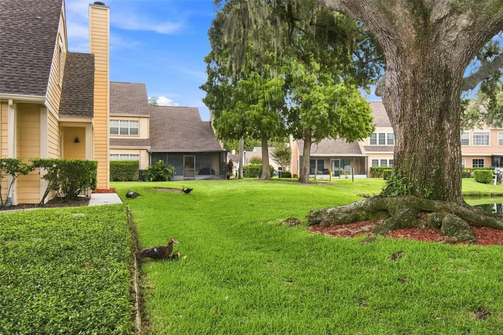1356 BIG PINE DRIVE #1356 Valrico, FL 33596