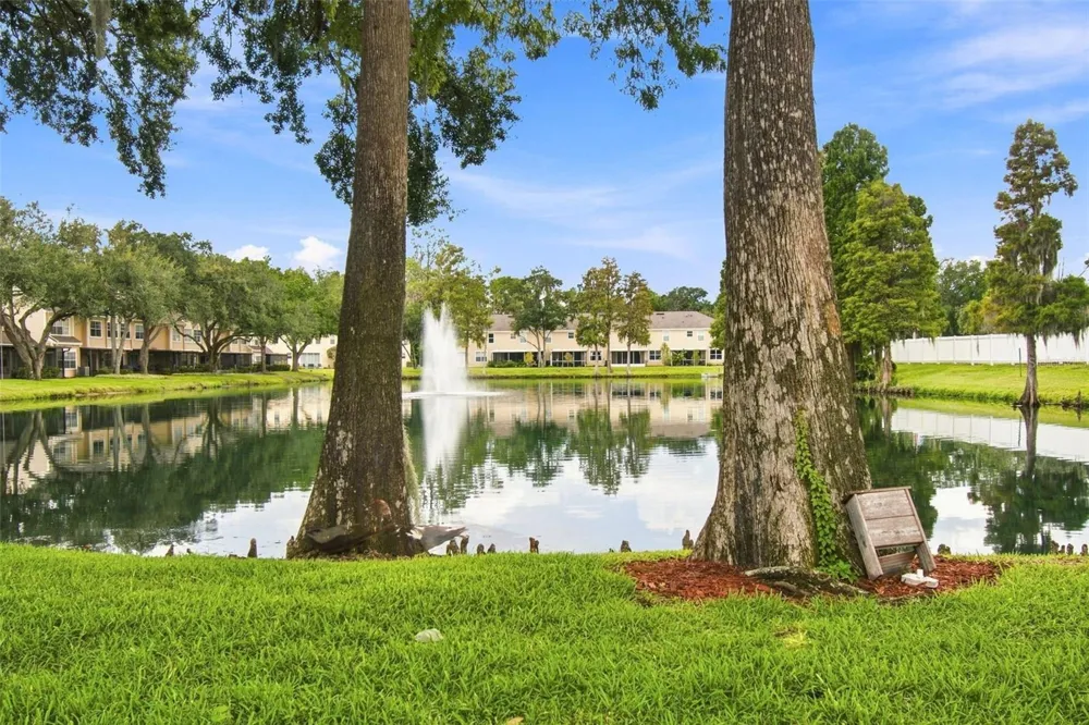 1356 BIG PINE DRIVE #1356 Valrico, FL 33596