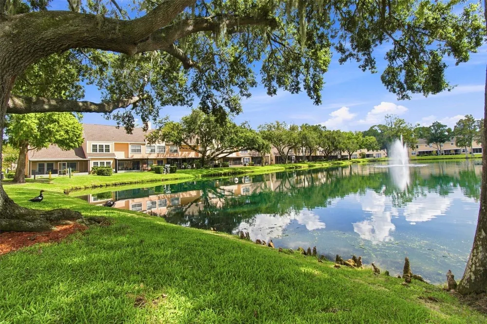 1356 BIG PINE DRIVE #1356 Valrico, FL 33596