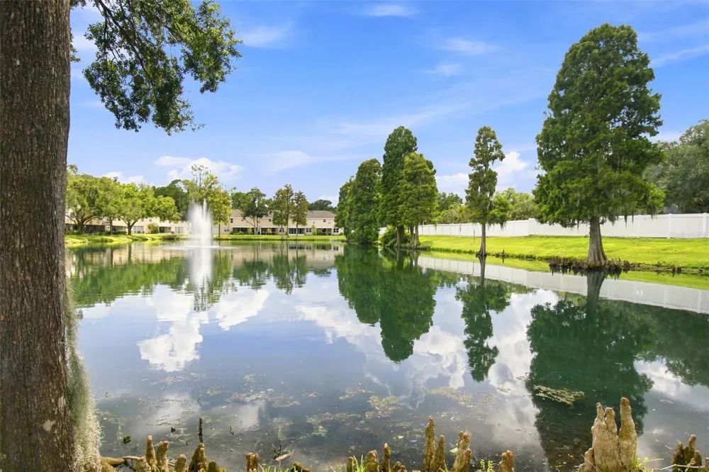 1356 BIG PINE DRIVE #1356 Valrico, FL 33596