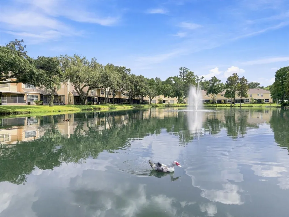 1356 BIG PINE DRIVE #1356 Valrico, FL 33596