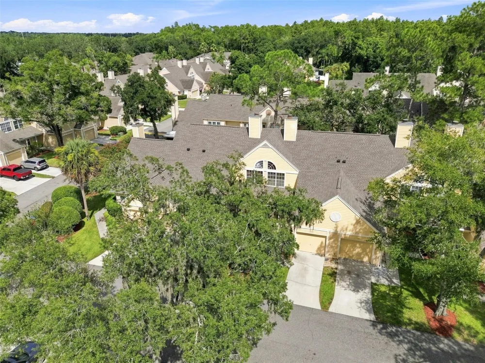 1356 BIG PINE DRIVE #1356 Valrico, FL 33596