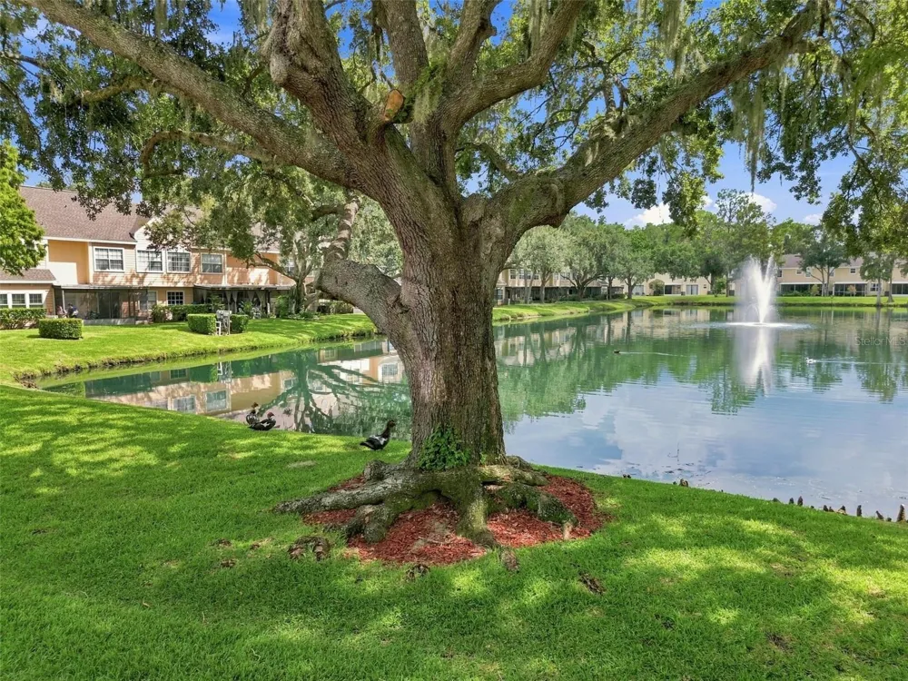 1356 BIG PINE DRIVE #1356 Valrico, FL 33596