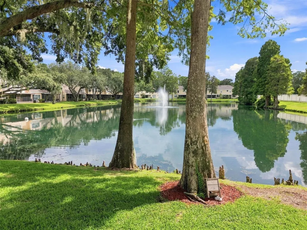 1356 BIG PINE DRIVE #1356 Valrico, FL 33596